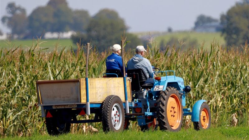 Aposentadoria Rural: Quais os Requisitos e Como Comprovar o Seu Direito?