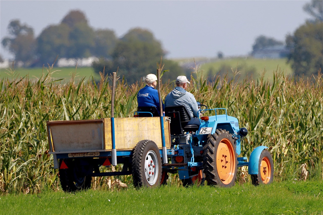 Aposentadoria Rural: Quais os Requisitos e Como Comprovar o Seu Direito?