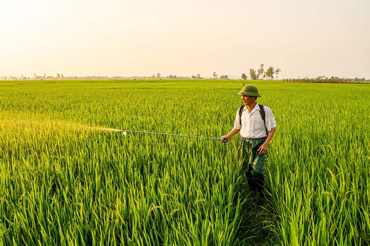 Quais trabalhadores do campo têm direito à Aposentadoria Rural? Entenda quem se encaixa na lei